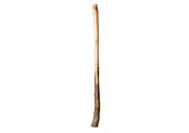 Heartland Didgeridoo (HD491)